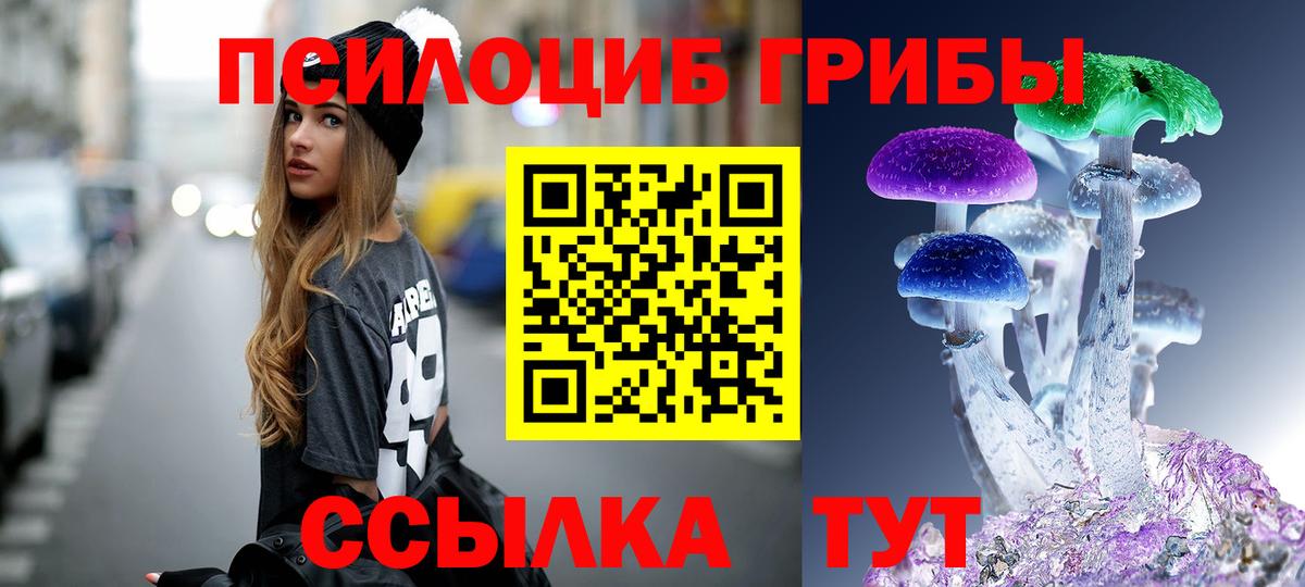 Коряжма  Псилоцибиновые грибы Psilocybe  сколько стоит  Галлюциногенные грибы мухоморы  Вход с VPN 